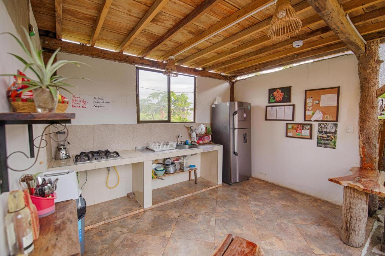 Bella Flor Hostel Palomino Bagian luar foto