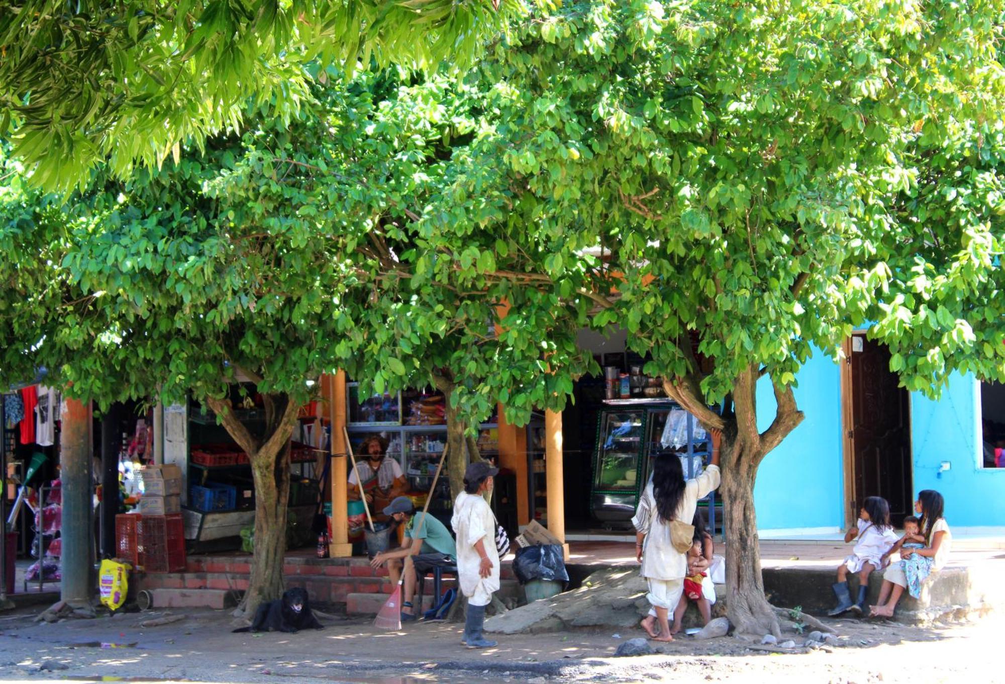 Bella Flor Hostel Palomino Bagian luar foto
